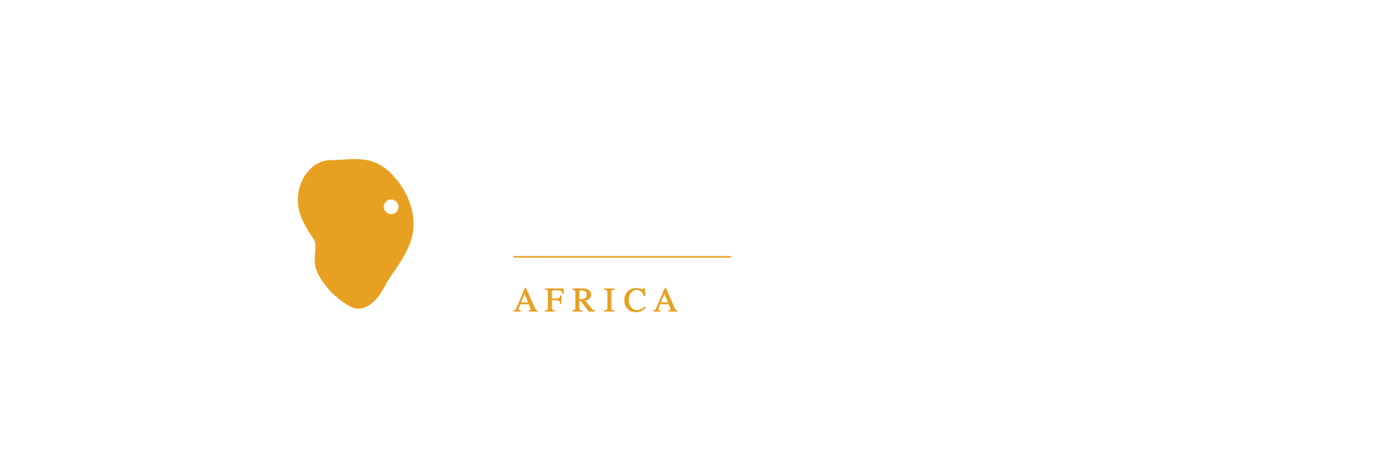 TRIMM Strategies
